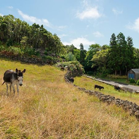 Casa Da Figueirinha Villa Calheta de Nesquim Eksteriør billede