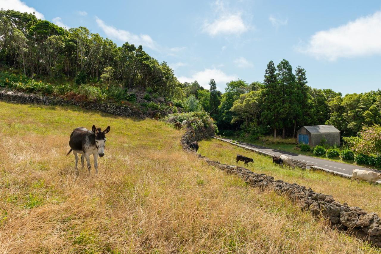 Casa Da Figueirinha Villa Calheta de Nesquim Eksteriør billede